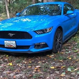 Meet your Posher, Hunter